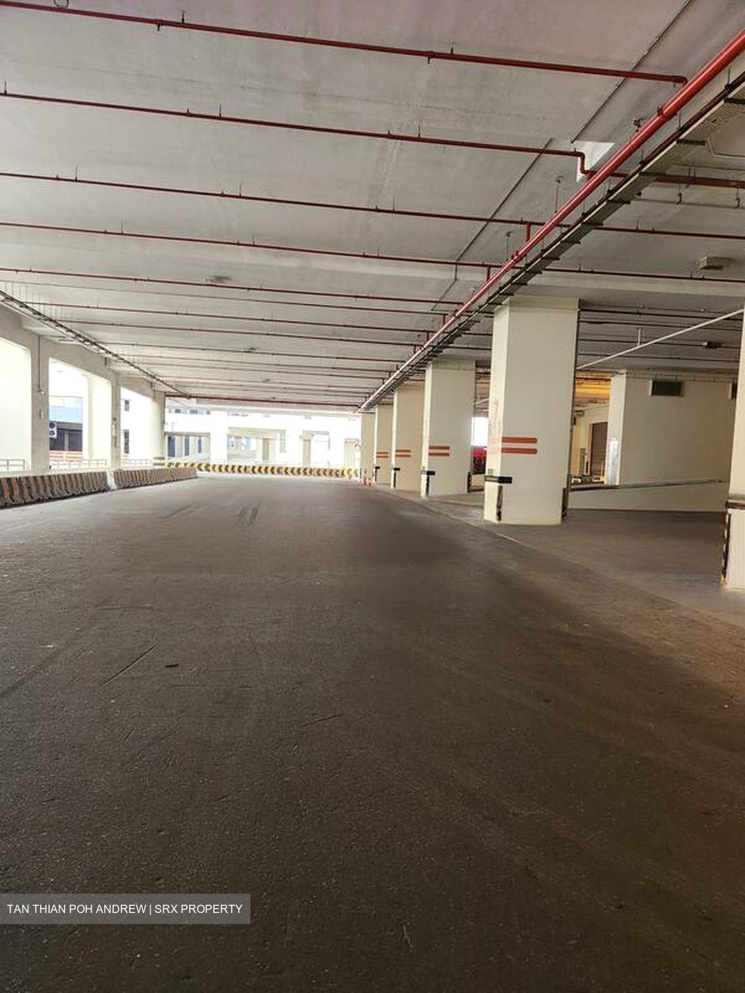 Jurong Port Road (D22), Warehouse #484124351